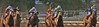 Troy > Horse Racing >  IMG_1258 ADJ MED CROP