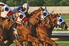 Troy > Late afternoon sunlight provides a warm glow during quarter horse racing action at Sam Houston Race Park July 3, 2005.