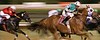 Troy > Horse Racing >  IMG_1435 ADJ CROP